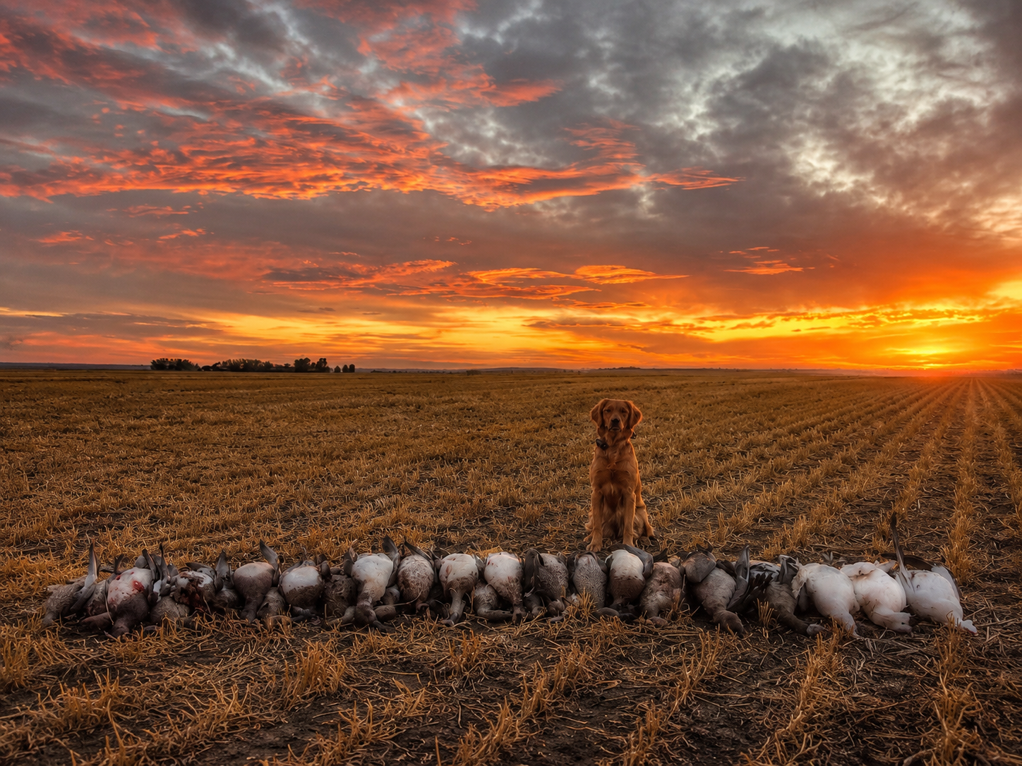 Saskatchewan hunting scenery